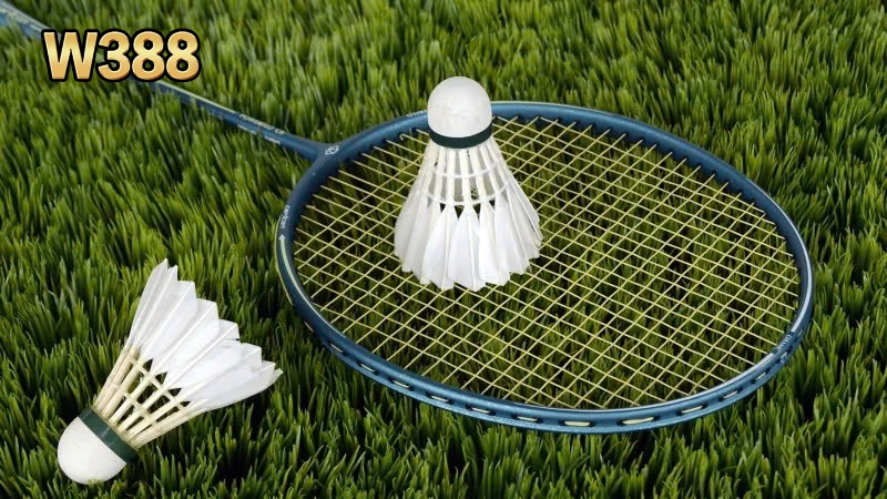 Cầu lông thu hút hàng triệu lượt chơi mới mỗi năm