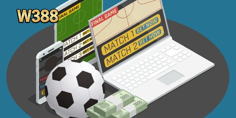 Cá Cược Cầu Lông W388