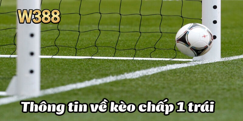 Hướng dẫn tân binh từ a – z tham gia kèo chấp 1