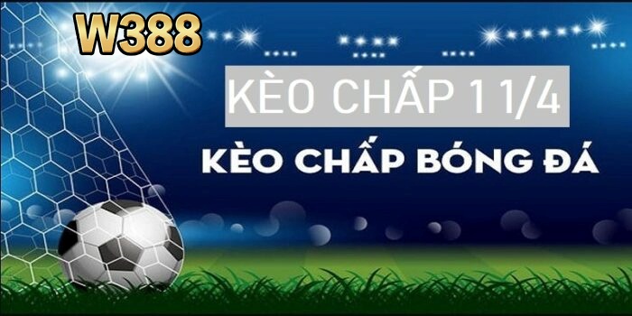 Kèo chấp 2 1/4 là gì? Cách đọc kèo tại W388