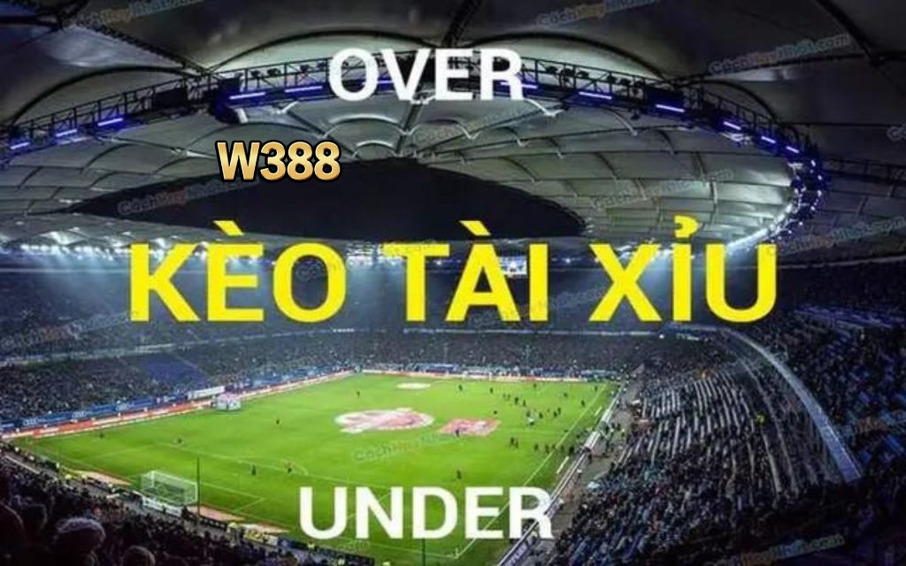 Tài Xỉu 2 Trái Rưỡi w388