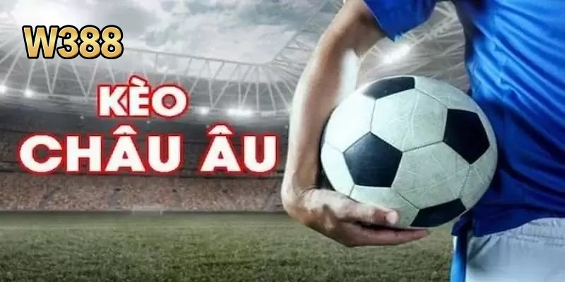 Cửa cược được mọi người chú ý hiện nay