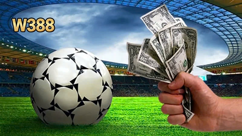 Kèo Chấp 0-5 W388