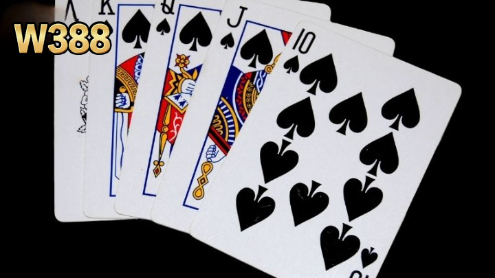 Tiến Lên Miền Bắc W388